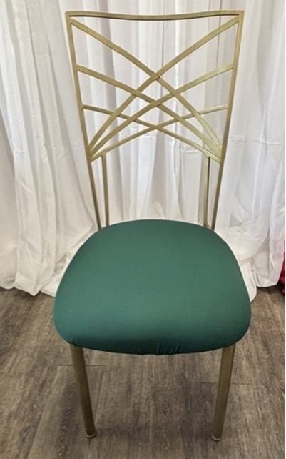 Rental store for CHAMELEON CUSHION CAP GREEN in New Orleans LA